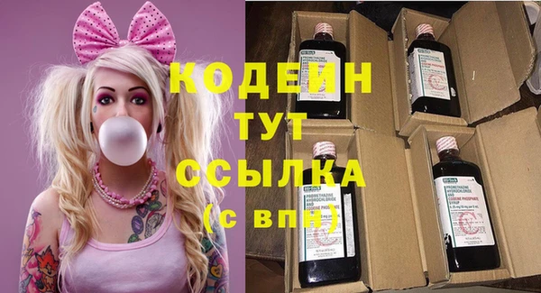 сатива Арсеньев