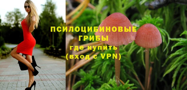 мет Аркадак