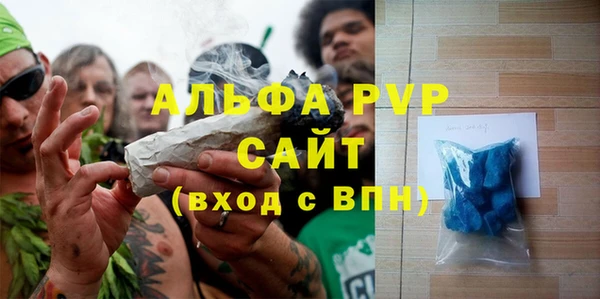 сатива Арсеньев