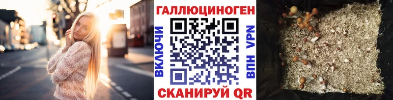 дарк нет какой сайт  blacksprut как зайти  Солигалич  Псилоцибиновые грибы мицелий 